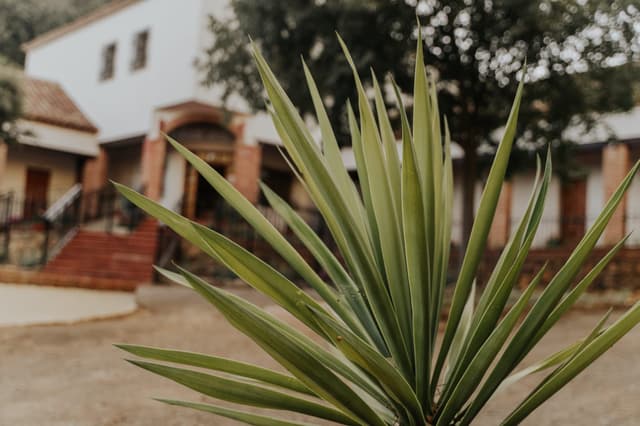 Albergue Fuente Agria