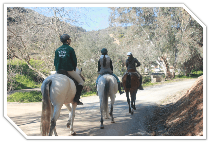 Rutas a Caballo